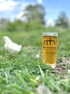 Chickens and Beer